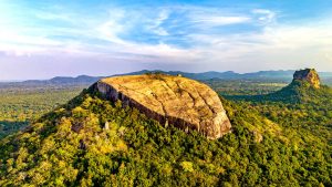 7 Days of Nature, Culture & Wildlife Wonder