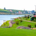 Gallery Thumbnail 10