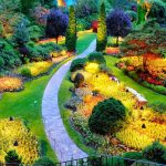 Gallery Thumbnail 10