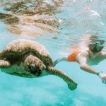 Gallery Thumbnail 15