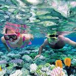 Gallery Thumbnail 14