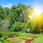 Gallery Thumbnail 12