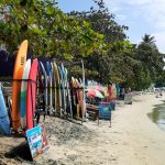 Gallery Thumbnail 12