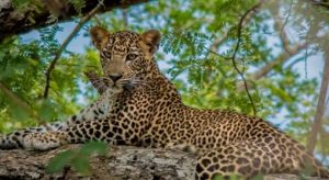 7 Days of Family Fun, Nature & Coastal Charm