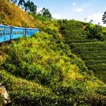 Gallery Thumbnail 17